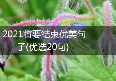 2021将要结束优美句子(优选20句)