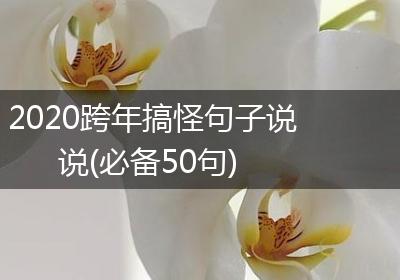 2020跨年搞怪句子说说(必备50句)