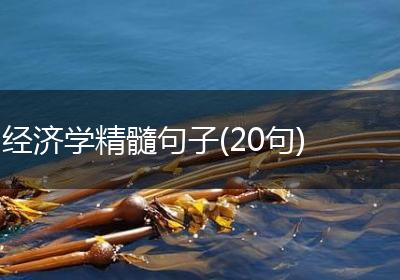 经济学精髓句子(20句)