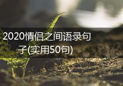 2020情侣之间语录句子(实用50句)
