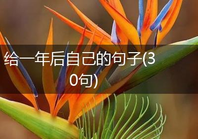 给一年后自己的句子(30句)