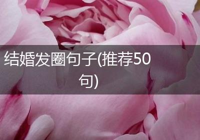 结婚发圈句子(推荐50句)