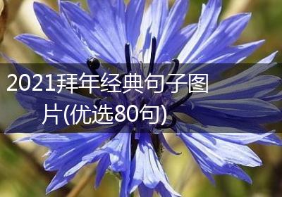 2021拜年经典句子图片(优选80句)