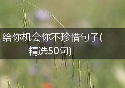 给你机会你不珍惜句子(精选50句)