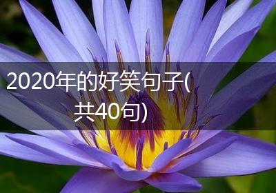 2020年的好笑句子(共40句)