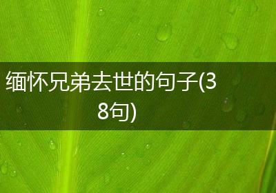 缅怀兄弟去世的句子(38句)
