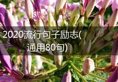 2020流行句子励志(通用80句)