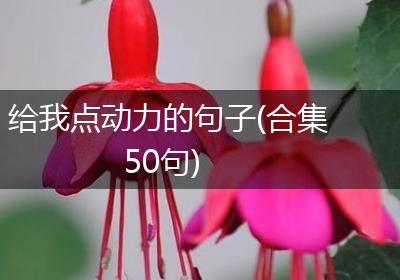 给我点动力的句子(合集50句)