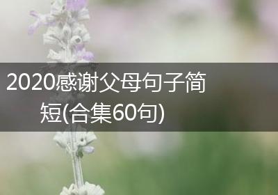 2020感谢父母句子简短(合集60句)