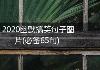 2020幽默搞笑句子图片(必备65句)