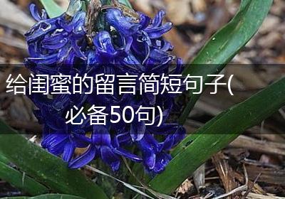 给闺蜜的留言简短句子(必备50句)