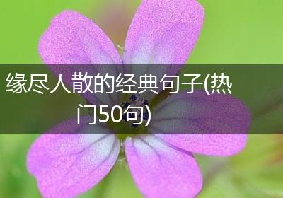 缘尽人散的经典句子(热门50句)