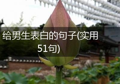 给男生表白的句子(实用51句)