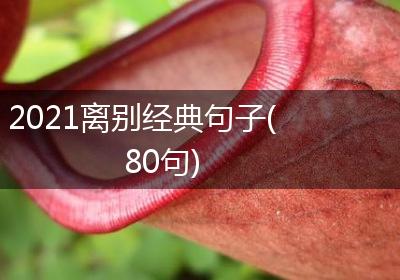 2021离别经典句子(80句)