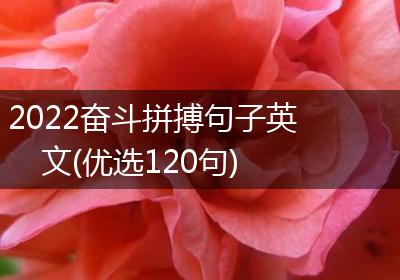 2022奋斗拼搏句子英文(优选120句)