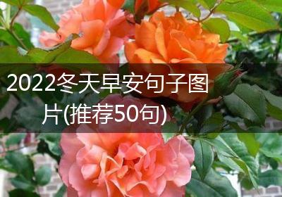 2022冬天早安句子图片(推荐50句)