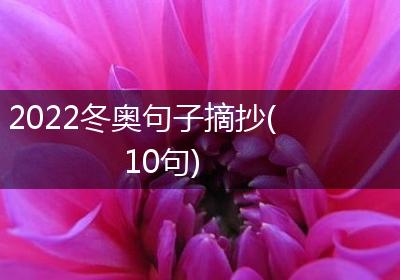 2022冬奥句子摘抄(10句)