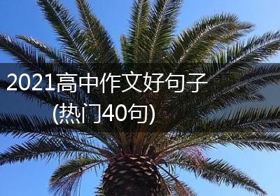 2021高中作文好句子(热门40句)