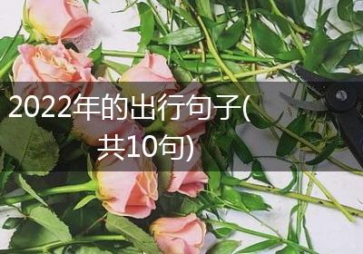 2022年的出行句子(共10句)