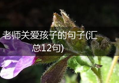 老师关爱孩子的句子(汇总12句)