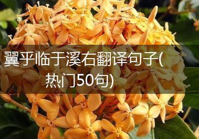 翼乎临于溪右翻译句子(热门50句)