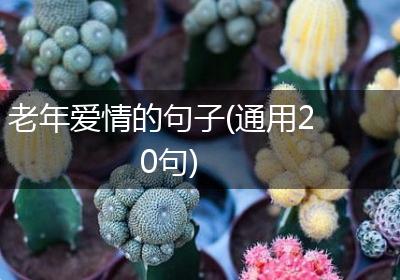 老年爱情的句子(通用20句)