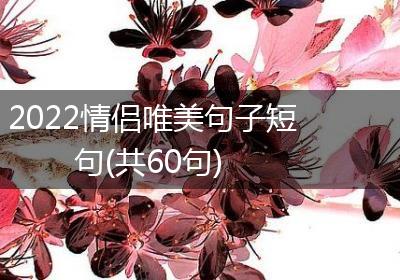 2022情侣唯美句子短句(共60句)