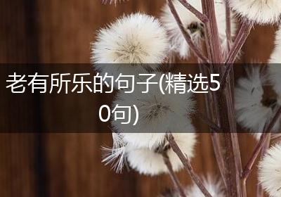 老有所乐的句子(精选50句)