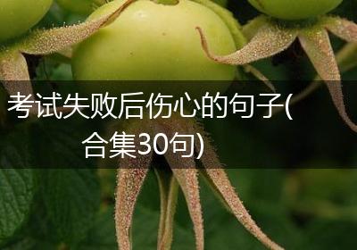 考试失败后伤心的句子(合集30句)