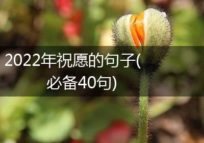 2022年祝愿的句子(必备40句)
