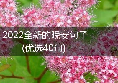 2022全新的晚安句子(优选40句)