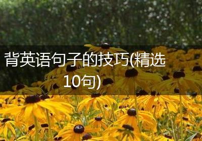 背英语句子的技巧(精选10句)