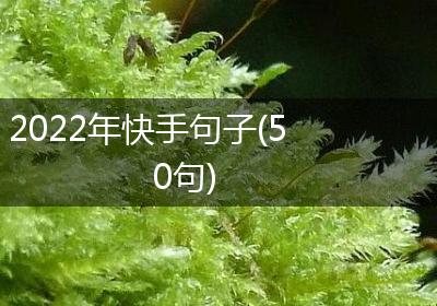 2022年快手句子(50句)
