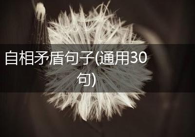 自相矛盾句子(通用30句)