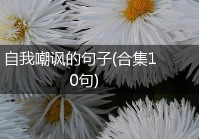 自我嘲讽的句子(合集10句)