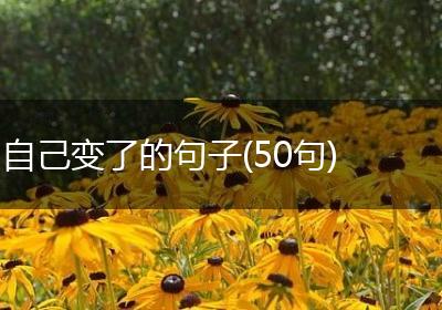 自己变了的句子(50句)