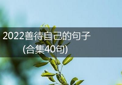 2022善待自己的句子(合集40句)