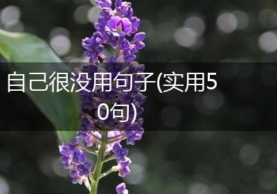 自己很没用句子(实用50句)
