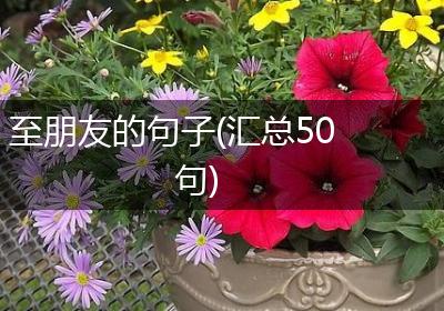至朋友的句子(汇总50句)