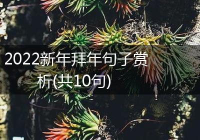 2022新年拜年句子赏析(共10句)