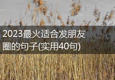 2023最火适合发朋友圈的句子(实用40句)