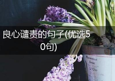 良心谴责的句子(优选50句)