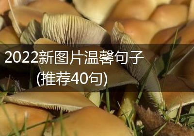 2022新图片温馨句子(推荐40句)