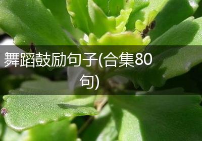 舞蹈鼓励句子(合集80句)