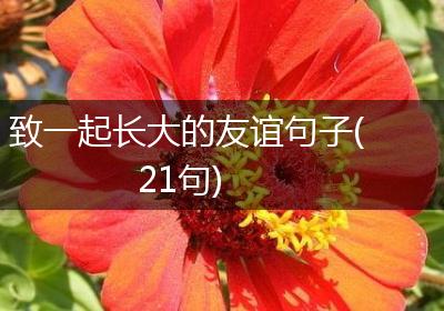 致一起长大的友谊句子(21句)