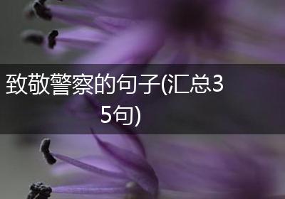 致敬警察的句子(汇总35句)