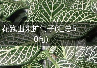 花跑出来扩句子(汇总50句)