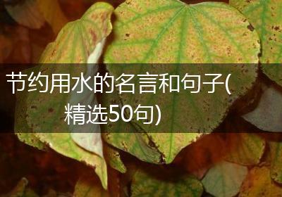 节约用水的名言和句子(精选50句)