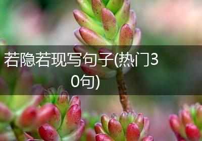 若隐若现写句子(热门30句)