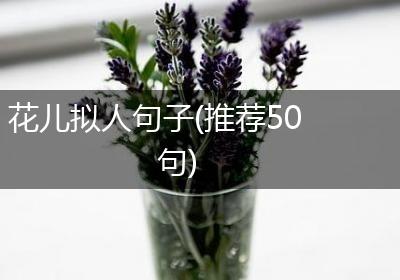 花儿拟人句子(推荐50句)